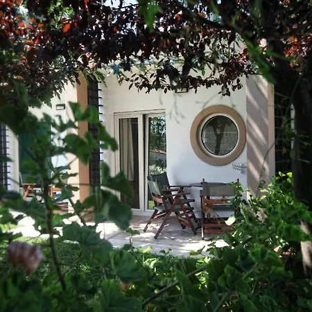 νόστος 2* Άφυτος